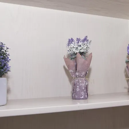The Sixth Pearl Apartment Odesa